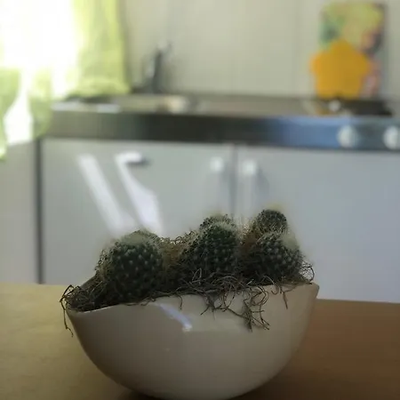 Family Stakic Apartament *